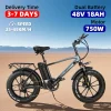 20 inch electric snowmobile 750W48V18AH lithium battery off-road fat tire electric mountain bike beach retro electric bike