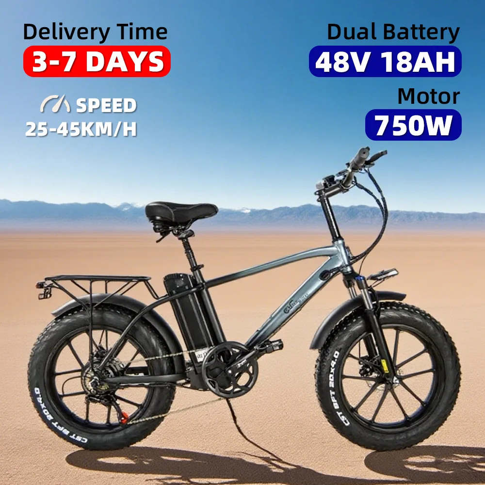 20 inch electric snowmobile 750W48V18AH lithium battery off-road fat tire electric mountain bike beach retro electric bike