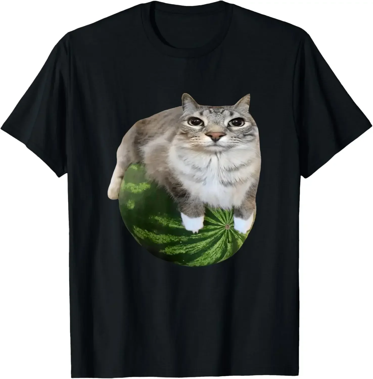 90s Y2k Watermelon Cat Silly Cat Meme T-Shirt A Hilarious Watermelon Print Shirt Is A Stylish Top Tee Women