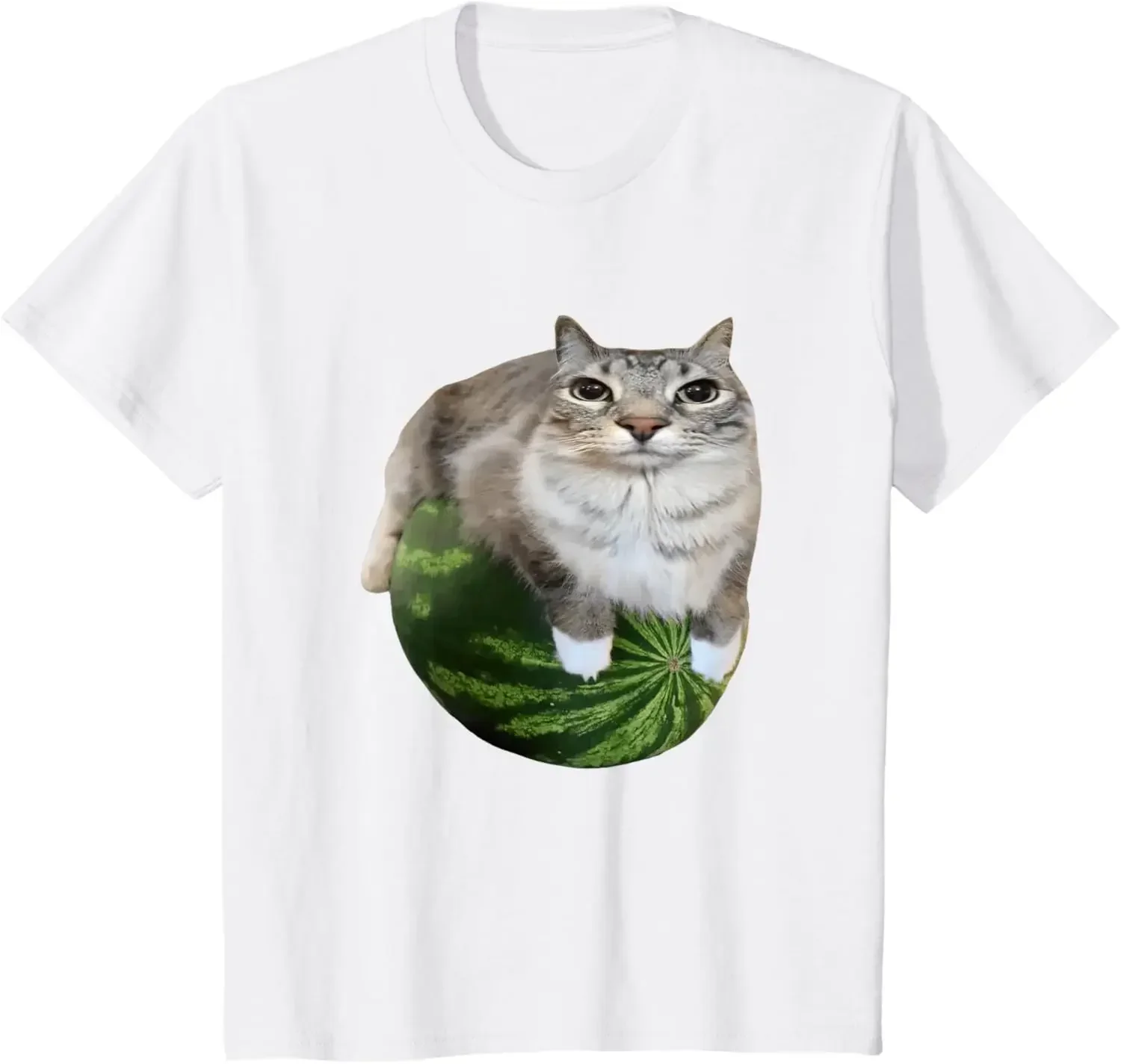 90s Y2k Watermelon Cat Silly Cat Meme T-Shirt A Hilarious Watermelon Print Shirt Is A Stylish Top Tee Women - Image 3